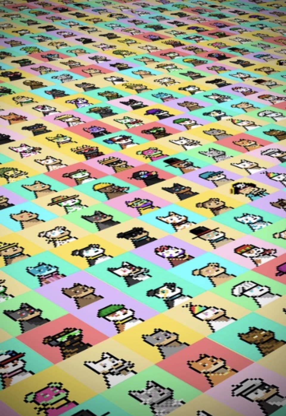 Doginal Dogs pack A field of Doginal Dogs pixel portraits on colored tiles