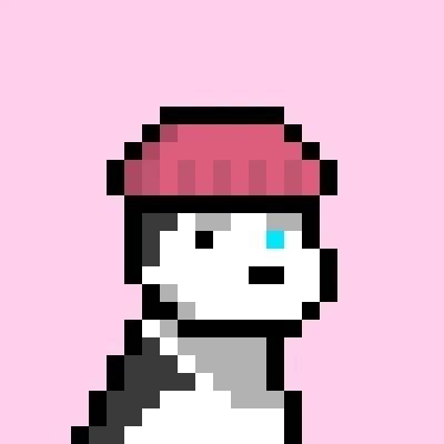 Koa official pixel profile picture — @koaxmeta Official Koa pink-background white pixel dog in a pink beanie